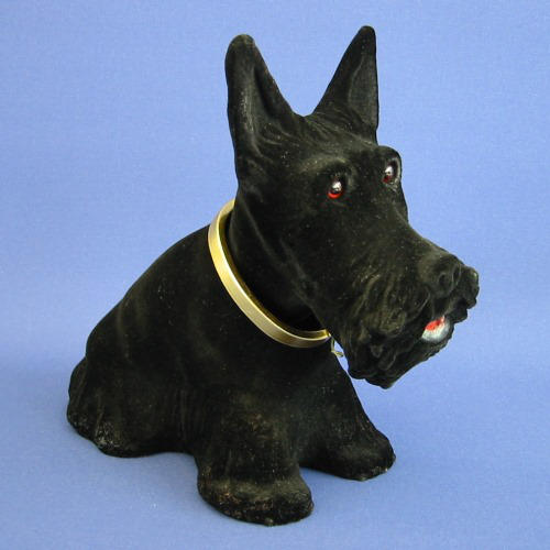 Zwarte Schotse Terrier hoedenplank hond