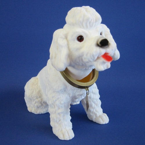 Witte poedel hoedenplank hond