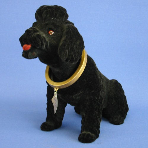 Zwarte poedel hoedenplank hond