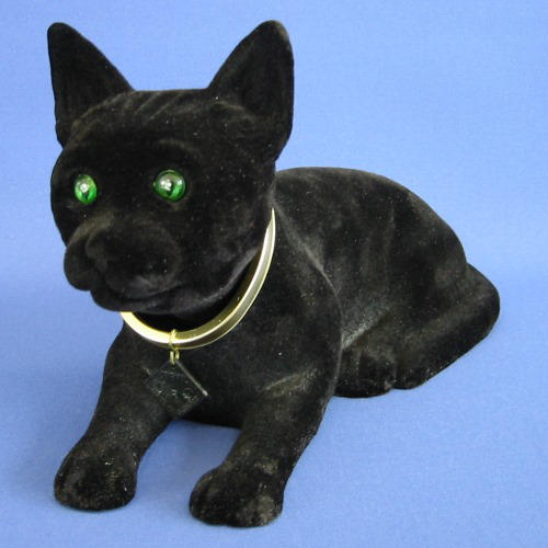 Zwarte kat voor hoedenplank