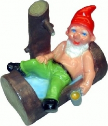 Tuinkabouter in waterbak