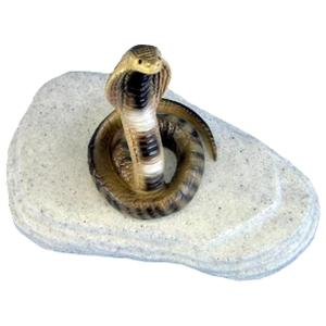 Cobra slang op steen