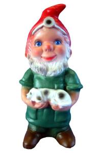 Kleine tuinkabouter dierenarts