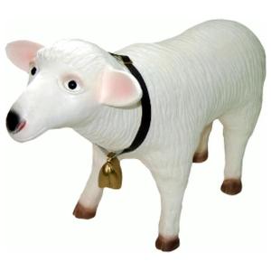 Schaap met bel