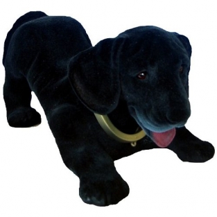 Labrador hoedenplank hond