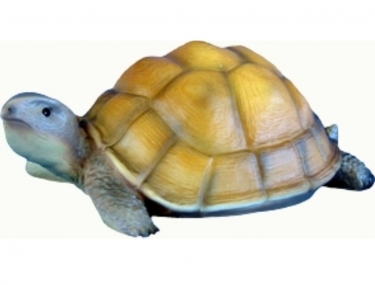 Schildpad