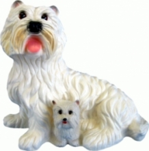 Witte West highland terrier, westie hond met puppy