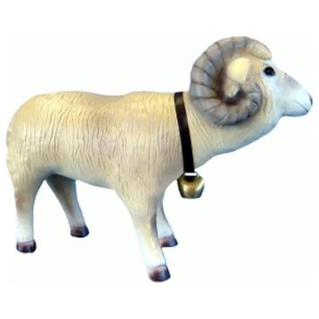 Ram - Schaap met bel