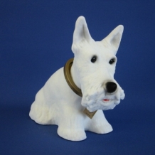 Witte hoedenplank hond